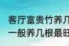 客厅富贵竹养几支最旺运 水养富贵竹一般养几根最旺财