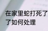 在家里蛇打死了怎么办 在家里蛇打死了如何处理