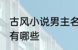 古风小说男主名字 古风小说男主名字有哪些