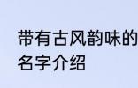 带有古风韵味的名字 带有古风韵味的名字介绍