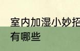 室内加湿小妙招有哪些 室内加湿方法有哪些