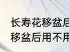 长寿花移盆后需要立刻浇水吗 长寿花移盆后用不用马上浇水