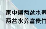 家中摆两盆水养富贵竹好不好 家中摆两盆水养富贵竹可以吗