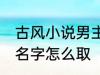 古风小说男主角名字 古风小说男主角名字怎么取