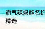 霸气辣妈群名称大全 霸气辣妈群名称精选