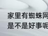 家里有蜘蛛网好事坏事 家里有蜘蛛网是不是好事呢