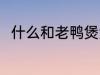 什么和老鸭煲汤最好 老鸭煲汤做法