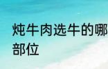 炖牛肉选牛的哪个部位 炖牛肉的最佳部位