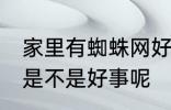 家里有蜘蛛网好事坏事 家里有蜘蛛网是不是好事呢