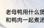 老母鸭用什么煲汤最好 哪些食物可以和鸭肉一起煮汤