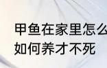 甲鱼在家里怎么养才不死 甲鱼在家里如何养才不死