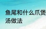 鱼尾和什么爪煲汤好喝有营养 鱼尾煲汤做法